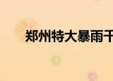 郑州特大暴雨千年一遇 突破历史极值