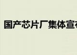国产芯片厂集体宣布涨价 涨价的原因是什么