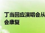 丁当回应演唱会从舞台跌落：精心修养一阵就会康复