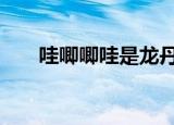 哇唧唧哇是龙丹妮的网名 啥情况这是