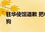 驻华使馆道歉 把申请赴美签证的学生比成狗狗