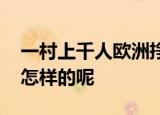 一村上千人欧洲挣钱回乡盖别墅 具体情况是怎样的呢