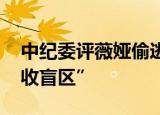 中纪委评薇娅偷逃税被罚 直播行业不是“税收盲区”