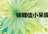 锦鲤信小呆现状 她都经历了什么