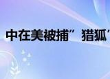 中在美被捕”猎狐”人员身份披露 具体详情