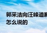 郭采洁向汪峰道歉 郭采洁为什么要道歉汪峰怎么说的