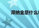 滞纳金是什么意思 具体有哪些特征