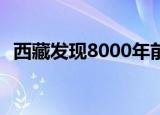 西藏发现8000年前磨制石针 考古重大发现