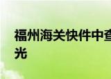 福州海关快件中查获侏罗纪化石 详情经过曝光