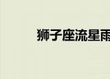 狮子座流星雨来了 具体什么时候
