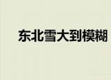 东北雪大到模糊 画面简直令人叹为观止