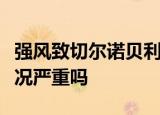 强风致切尔诺贝利禁区林火复燃是怎么回事情况严重吗