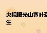 央视曝光山寨叶圣陶杯比赛 竞赛背后乱象丛生