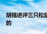 胡锡进评三只松鼠模特妆容争议 他是怎么说的