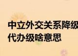 中立外交关系降级释放4点信号 外交关系降为代办级啥意思