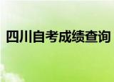 四川自考成绩查询 具体如何查询在哪儿查询
