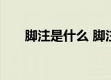 脚注是什么 脚注和尾注的区别是什么