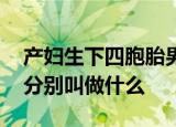 产妇生下四胞胎男婴取名繁荣昌盛 四个孩子分别叫做什么