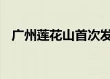 广州莲花山首次发现四蒂莲 这也太美了吧