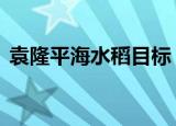 袁隆平海水稻目标 目标是什么什么是海水稻
