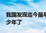 我国发现迄今最早远古森林 在哪发现距今多少年了