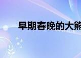早期春晚的大熊猫表演 太令人震惊了