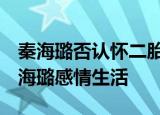 秦海璐否认怀二胎 秦海璐老公叫什么名字 秦海璐感情生活