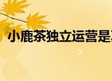 小鹿茶独立运营是真的吗小鹿茶将如何运营