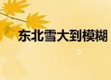 东北雪大到模糊 东北降雪也太猛烈了吧