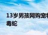13岁男孩网购宠物蛇被咬进ICU 宠物蛇竟是毒蛇