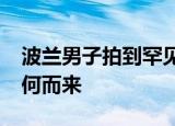 波兰男子拍到罕见UFO清晰照 “它”到底从何而来