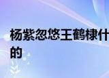杨紫忽悠王鹤棣什么梗杨紫是怎么忽悠王鹤棣的