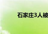 石家庄3人被野猪袭击 具体详情