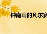 钟南山的凡尔赛发言 这个演讲太绝了