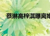 蔡琳高梓淇曝离婚是真的吗到底怎么回事