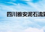 四川雅安泥石流致10余人失联 具体详情