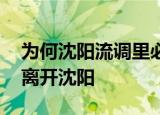 为何沈阳流调里必有鸡架 没有一只鸡能活着离开沈阳