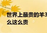 世界上最贵的羊332万元成交 什么情况为什么这么贵