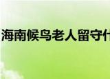 海南候鸟老人留守什么情况具体详情情况如何