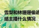 雪梨和林珊珊偷逃税被罚超9000万 这两名网络主播什么情况