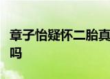 章子怡疑怀二胎真的吗章子怡怀二胎消息属实吗