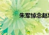朱军悼念赵忠祥 这是怎么回事