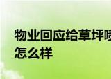 物业回应给草坪喷绿漆 绿漆是什么东西具体怎么样