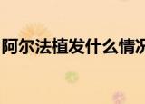 阿尔法植发什么情况阿尔法植发这是怎么回事