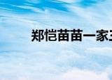郑恺苗苗一家三口合照 画面超温馨