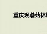 重庆现蘑菇林地铁站 还有这种地方