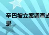 辛巴被立案调查或判15年 什么情况事件经过是