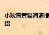 小欢喜黄磊海清播出时间是几号哪一台剧情介绍