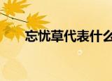 忘忧草代表什么意思 忘忧草可以吃吗