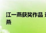 江一燕获奖作品 遭曝光设计团队真的有江一燕